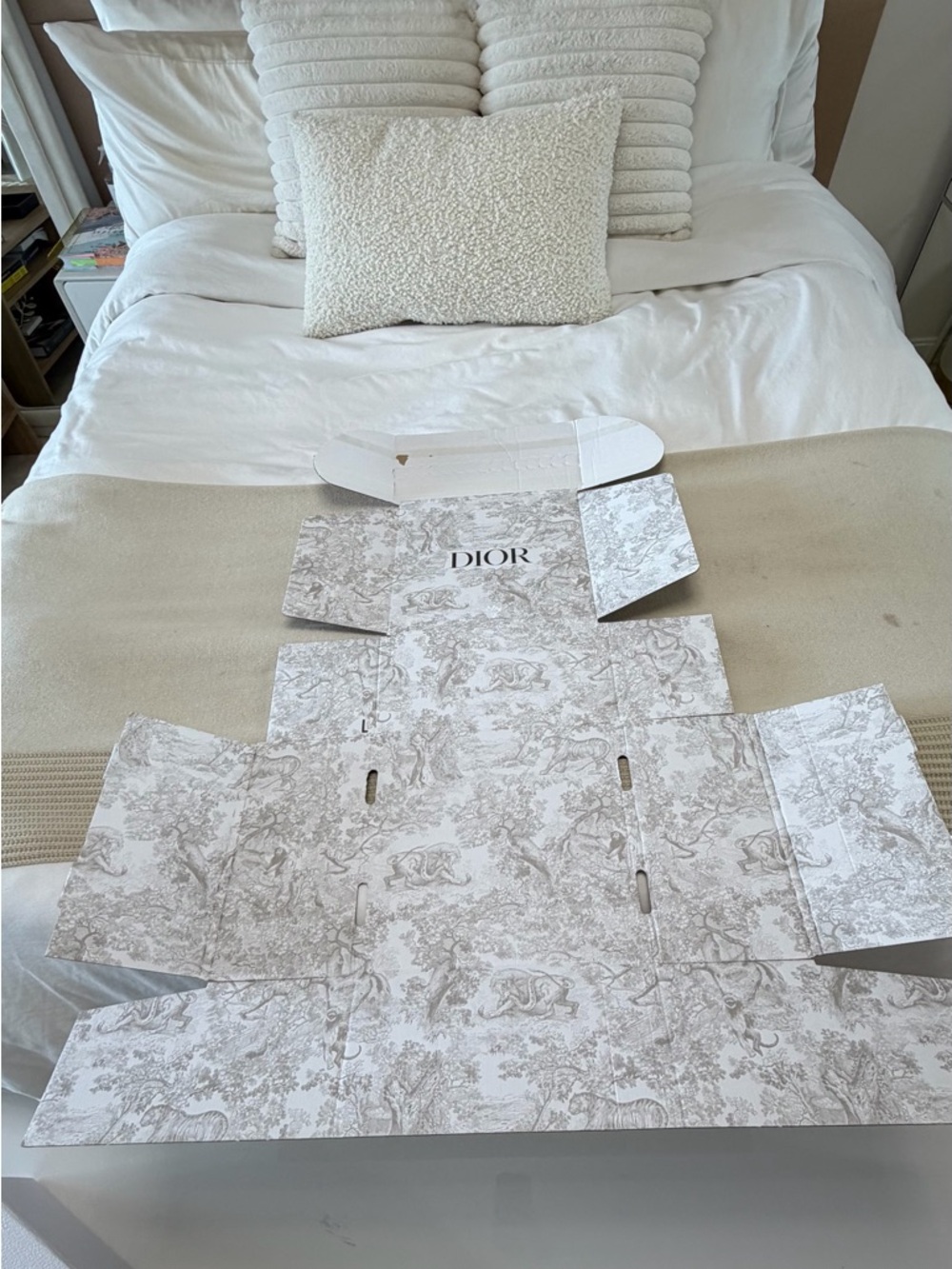 Dior Printed Packaging Box - White and Beige Toile Design